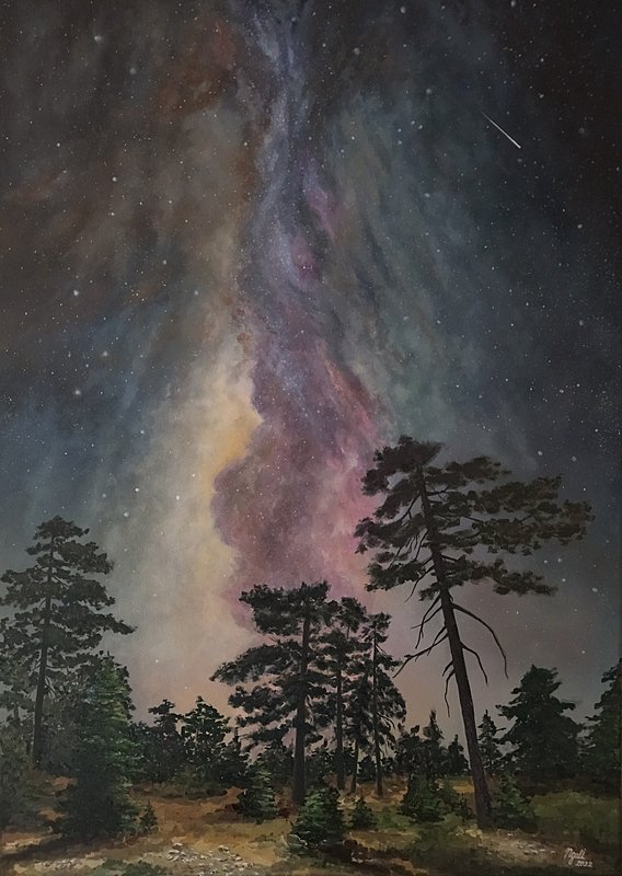 Make a wish.. the star is falling.