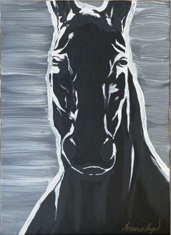 Black horse