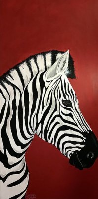 Zebra