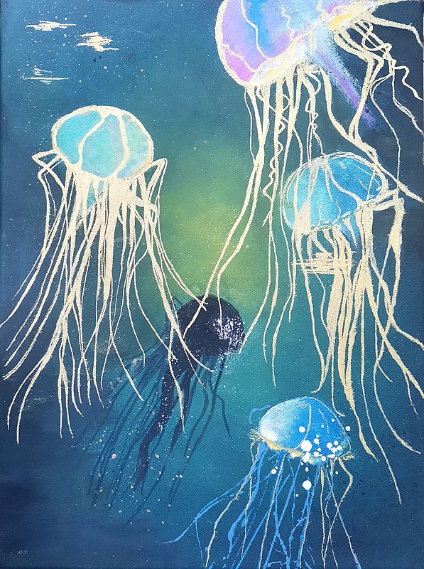 Jellyfish