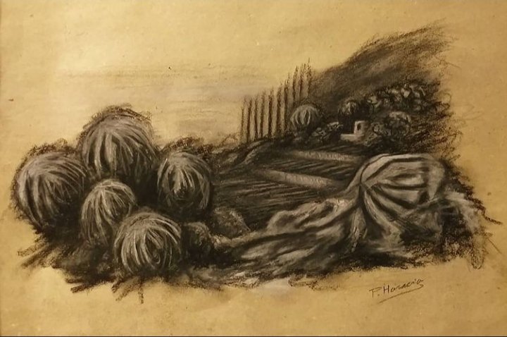 Mallorská krajina