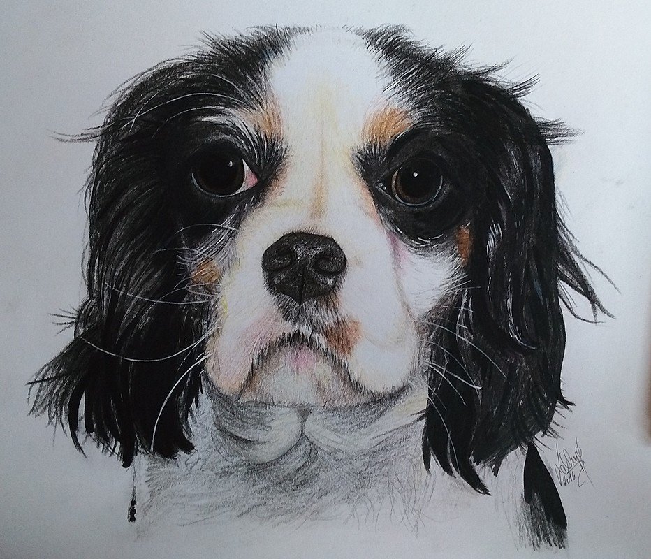 Lily