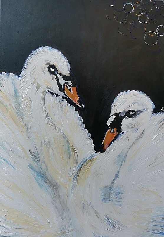 Swans