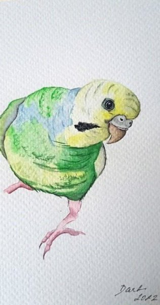 Andulka