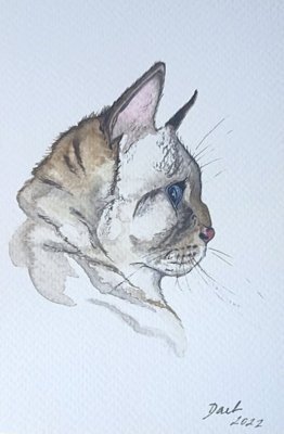 Profil kočky