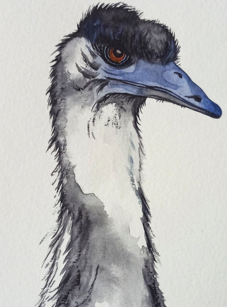 Emu