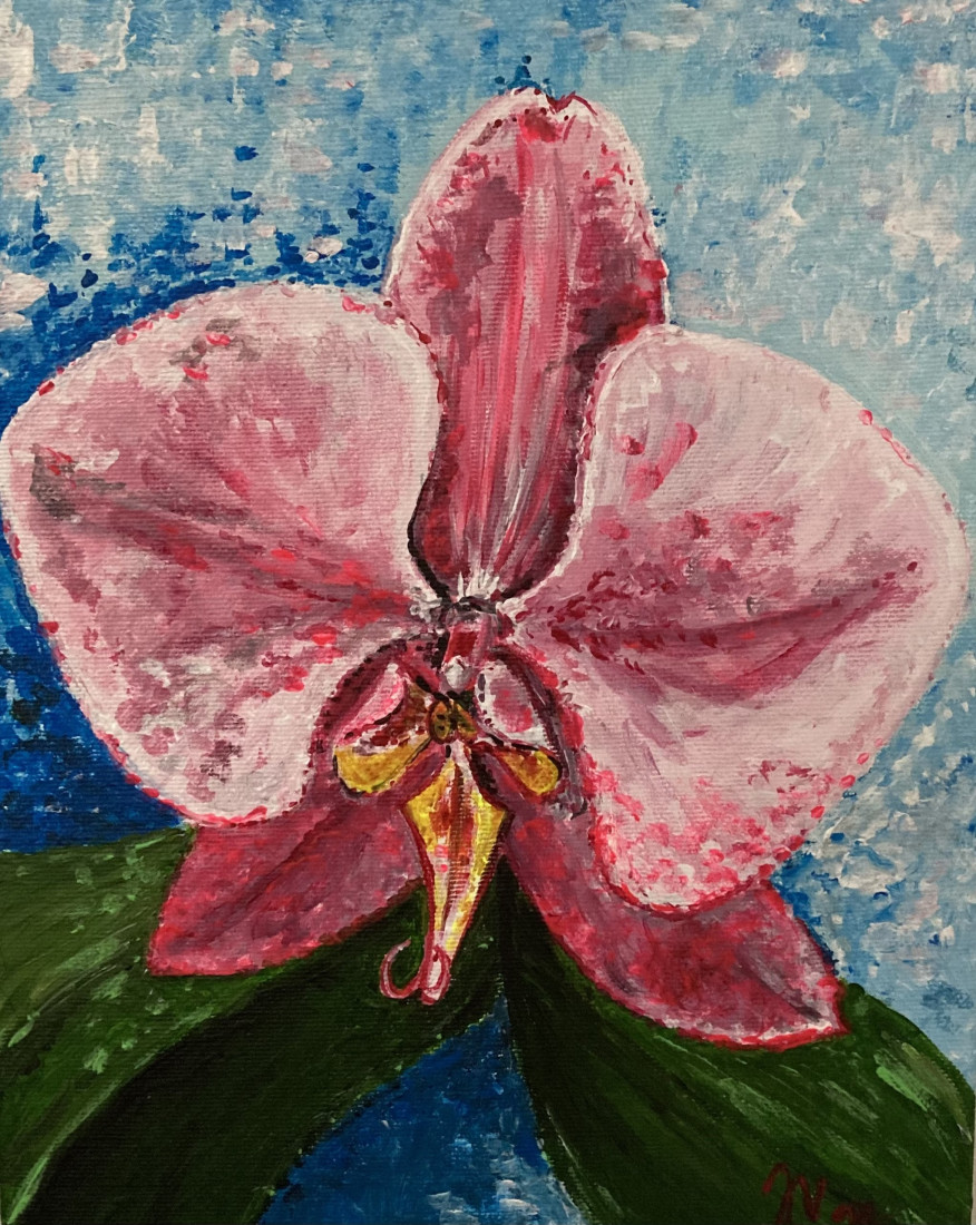 Orchidej