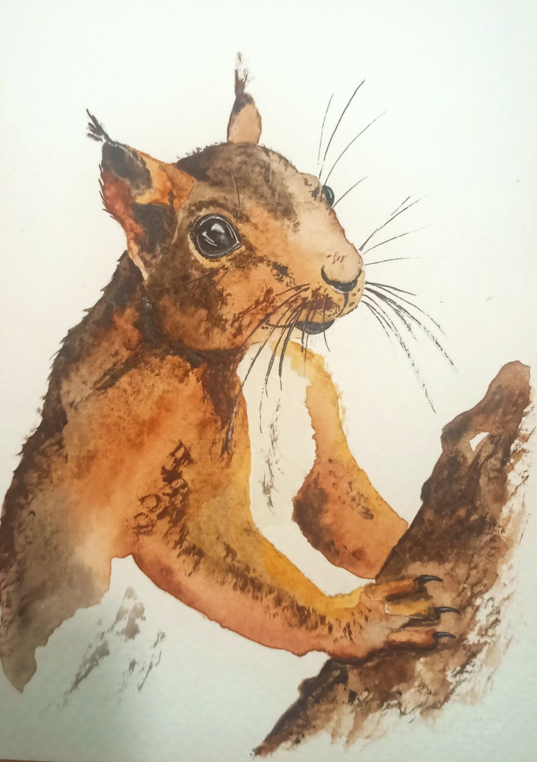 Zrzka
