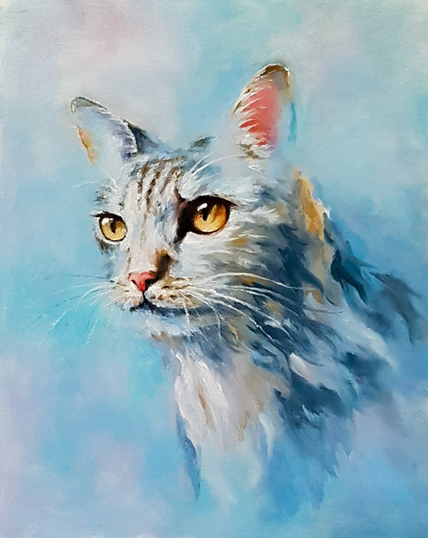 Portrét kočky