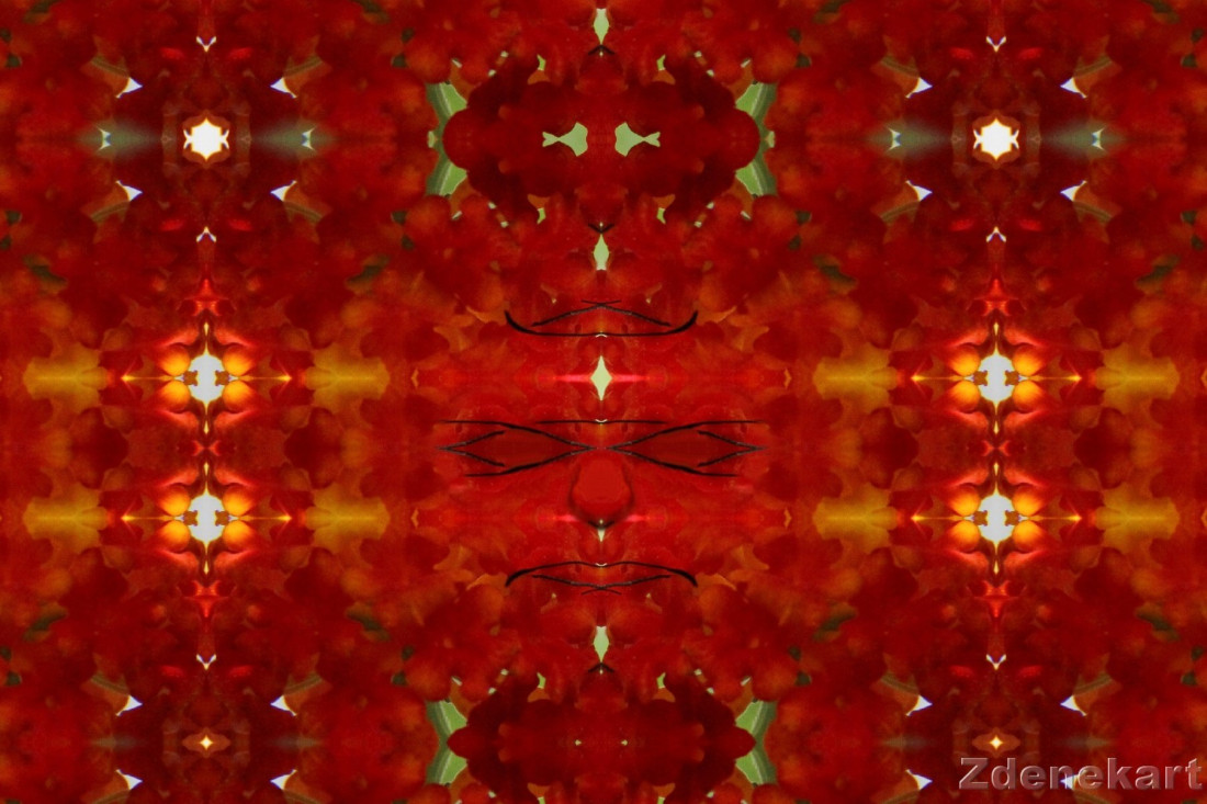 Redkin