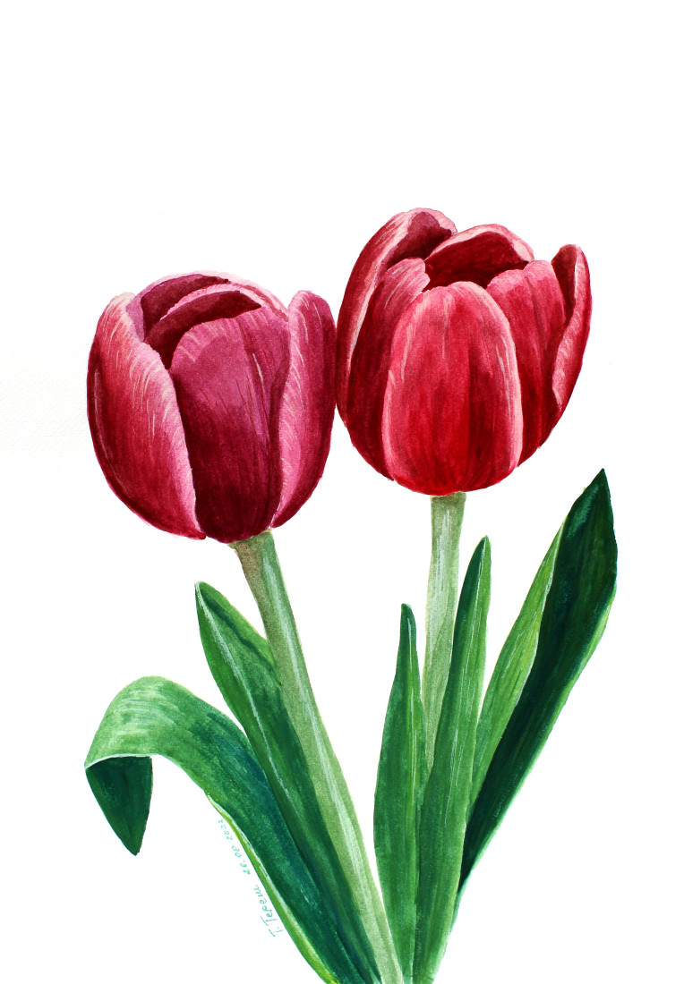 Dotyk