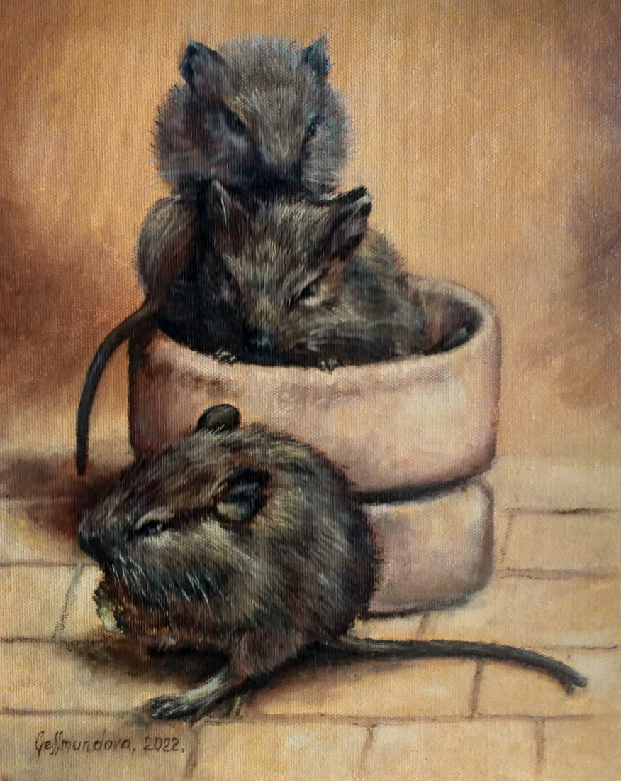 Osmáci.