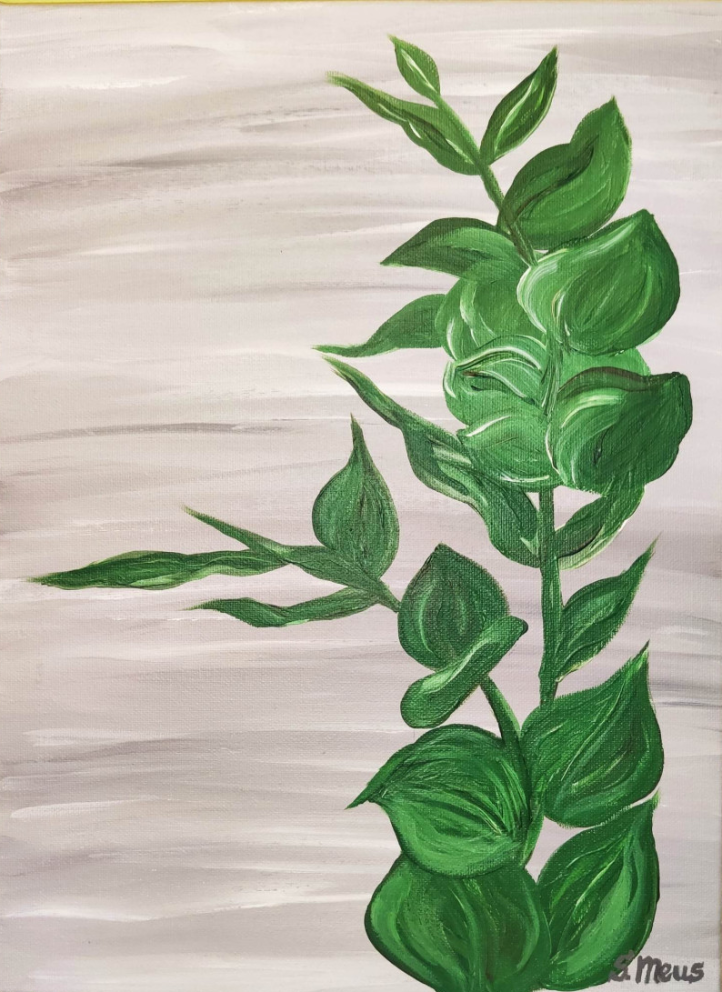 Eukalyptus