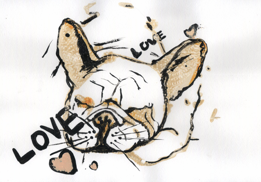 Chien carlin pes