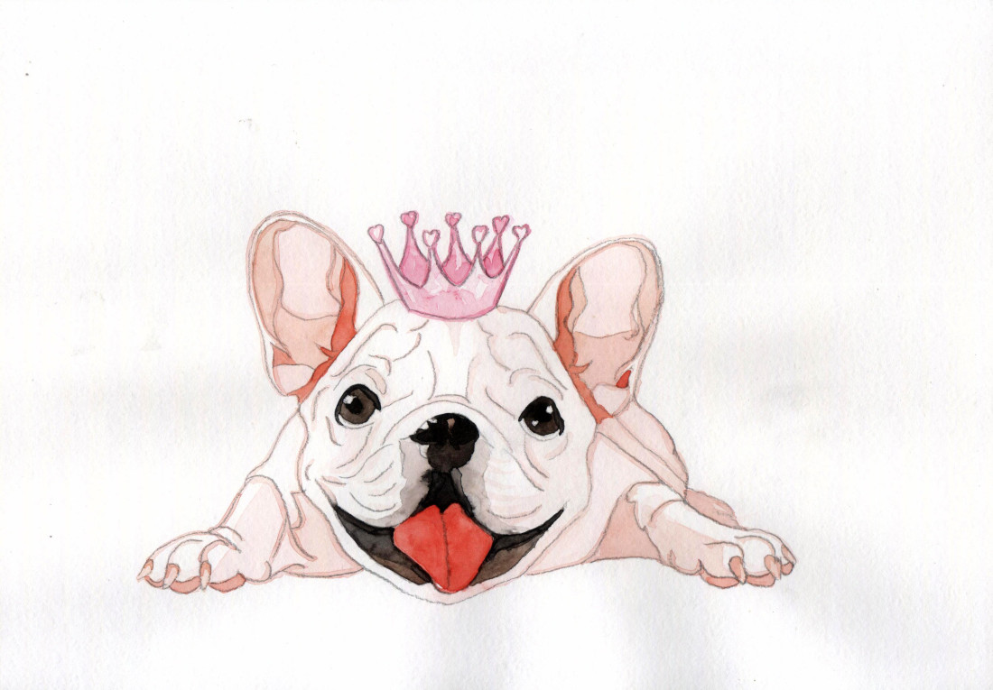 Moops love dog