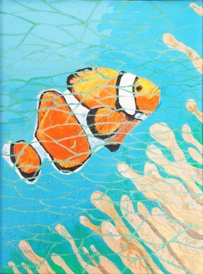 Ryba Nemo