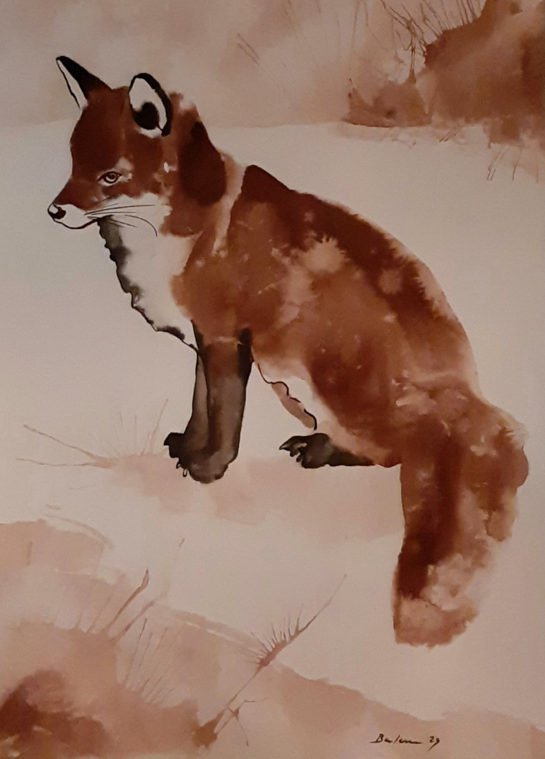 Lištička