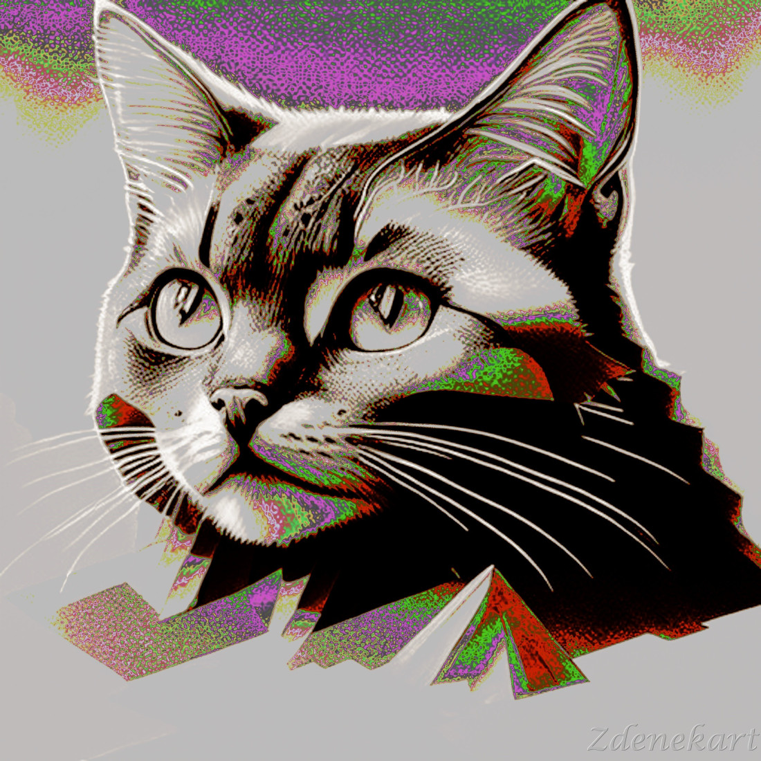 Kosmocat