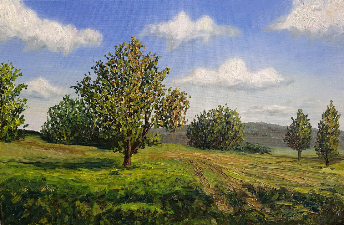 Letní krajina