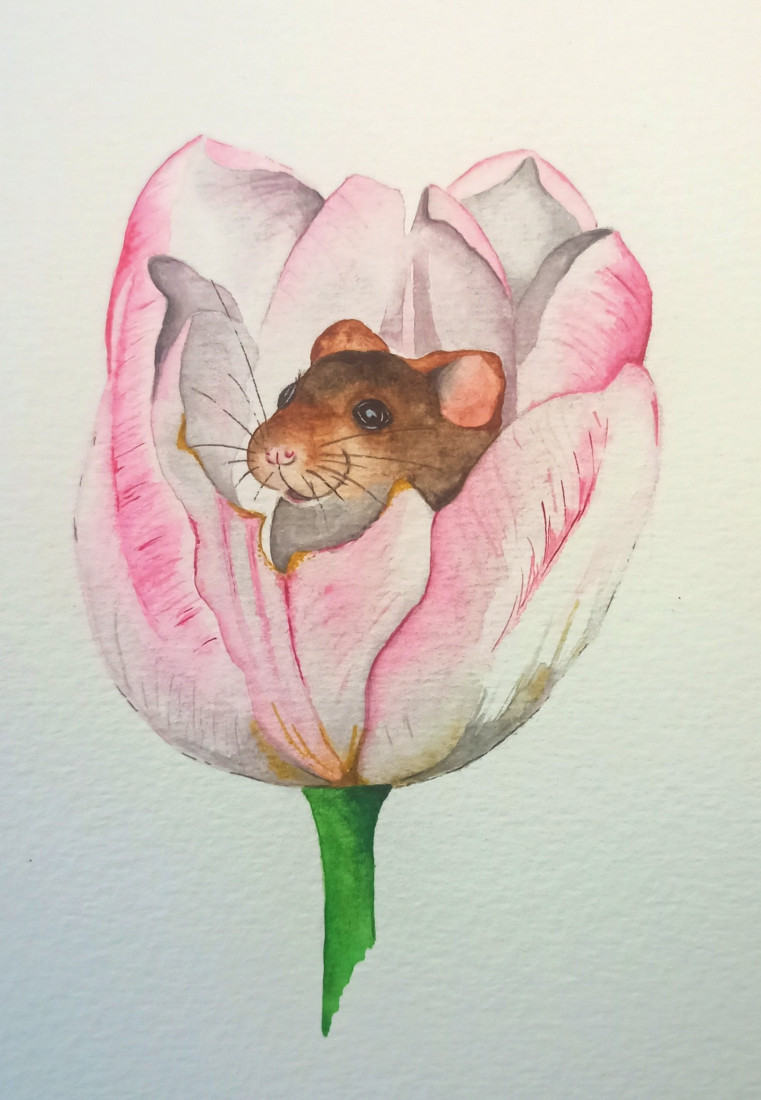 Myška a tulipán