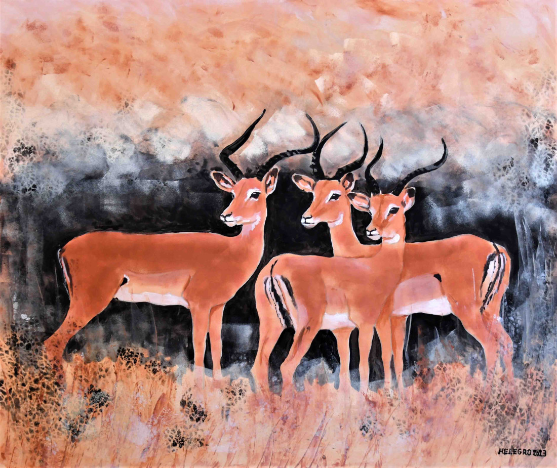 ANTILOPY IMPALA - TŘI SAMEČCI