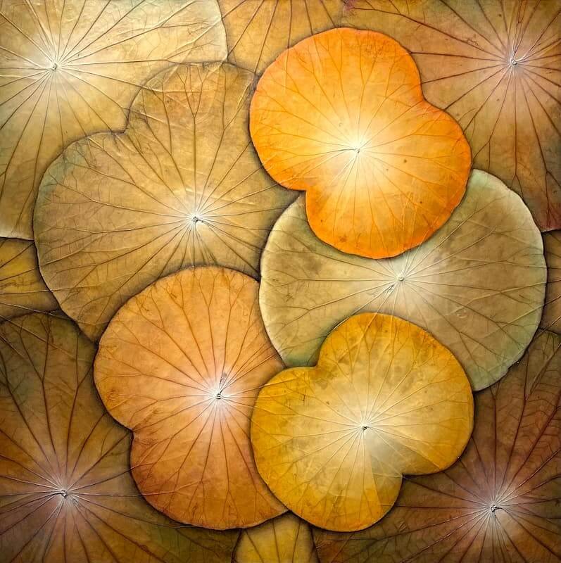 Meditace