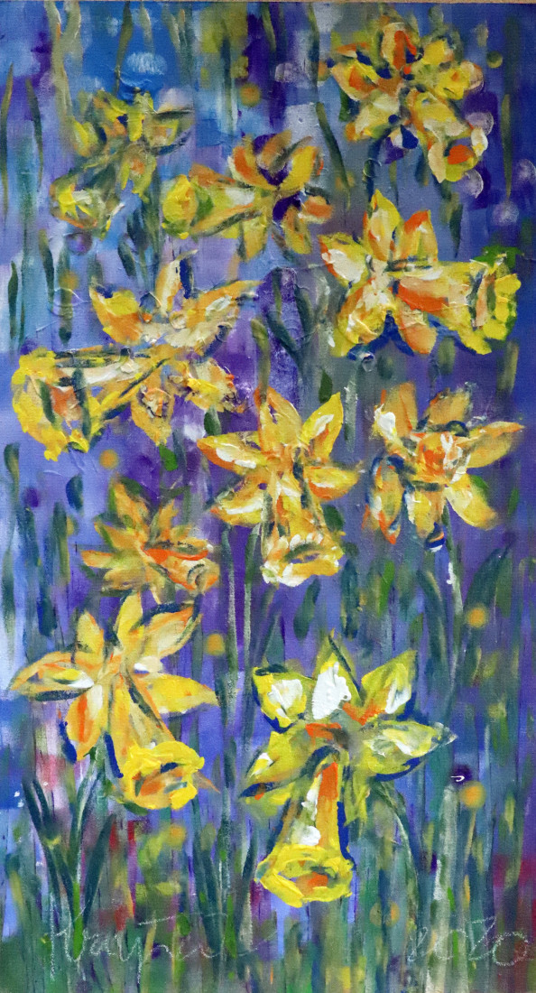 Narcisy
