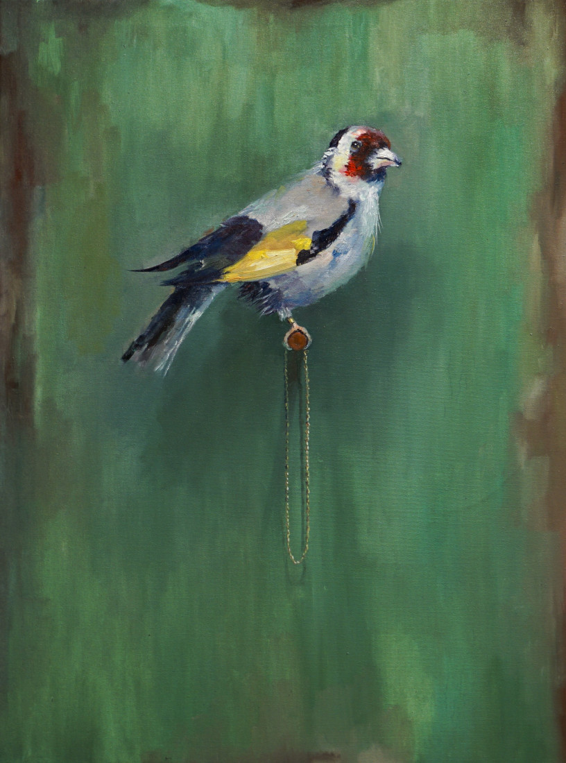 goldfinch gif