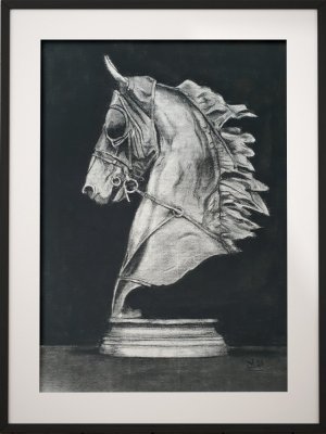 The Knight