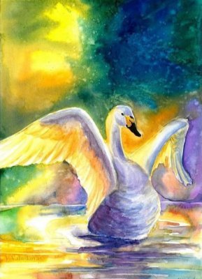 Colorful bird
