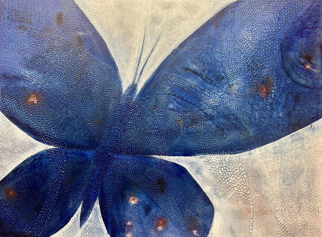 Butterfly TOUCH