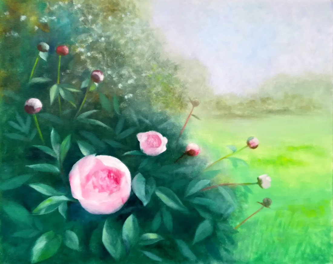 Peony bush