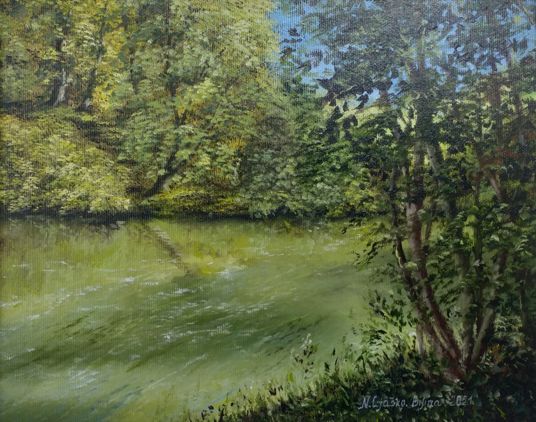 Lesní jezírko