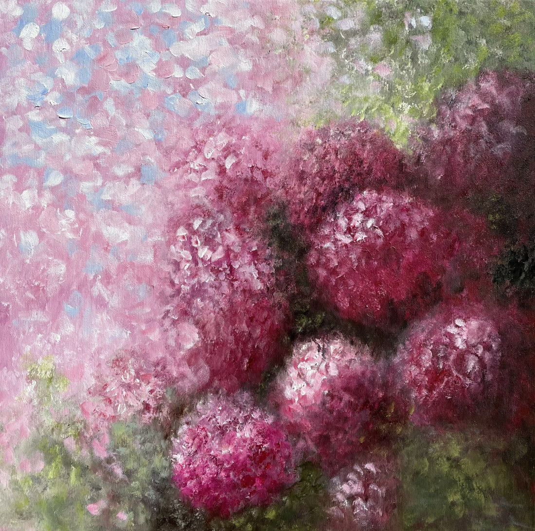 Hortenzie sen