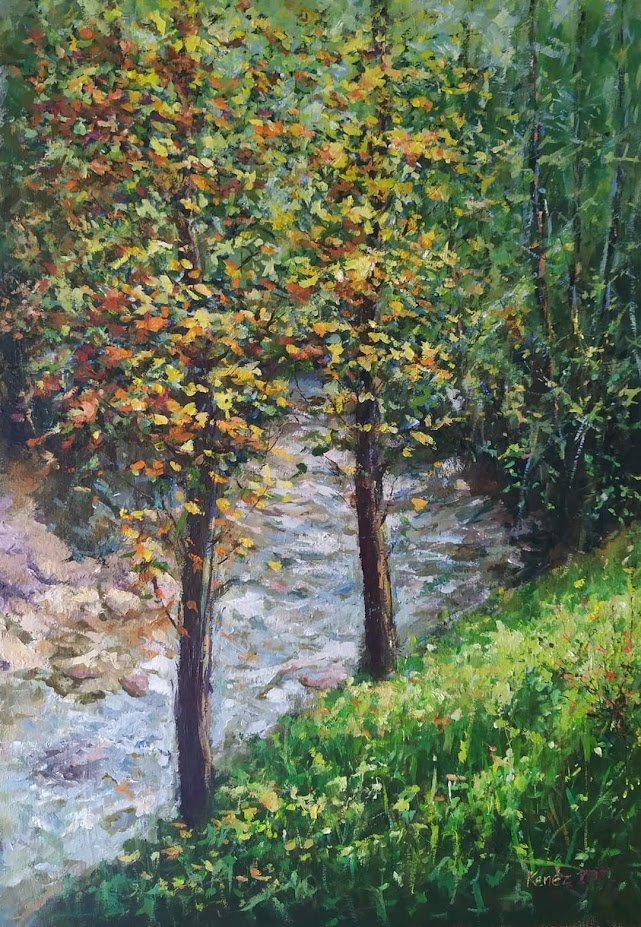 Skalnatý potok
