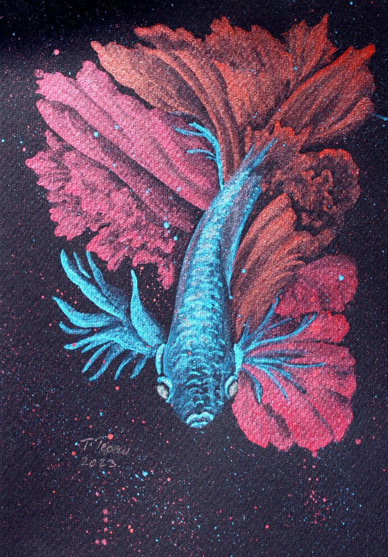 Modro-červená záře