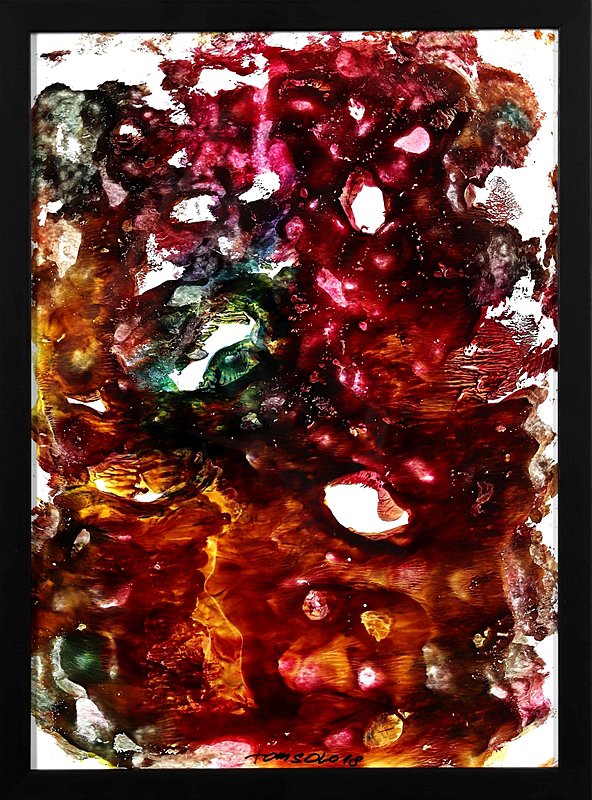 Universum IV.