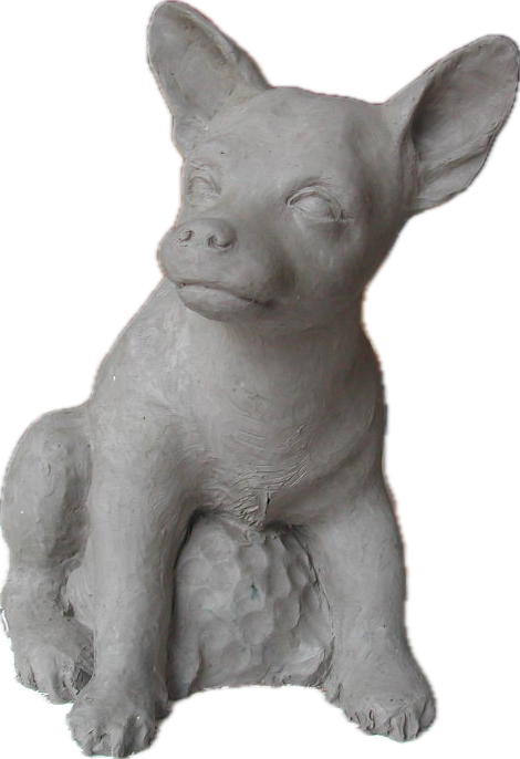 Pejsek Jerry