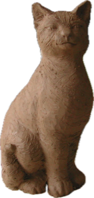 Kočička