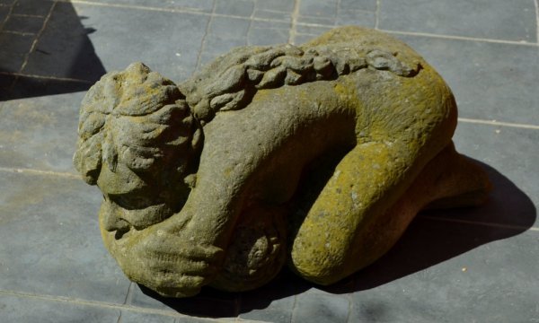 Zamyšlení nad přírodou