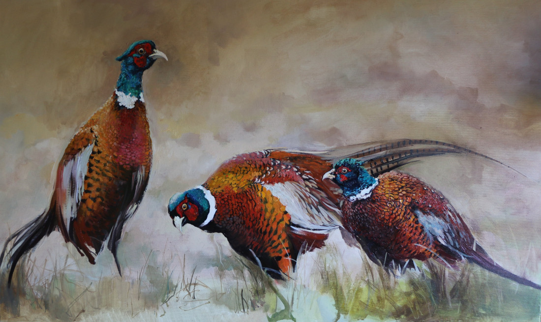 pheasants