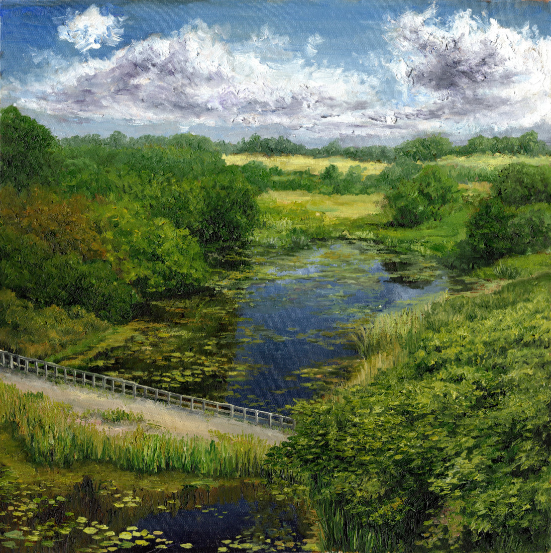 přírodní krajina - řeka a lekníny