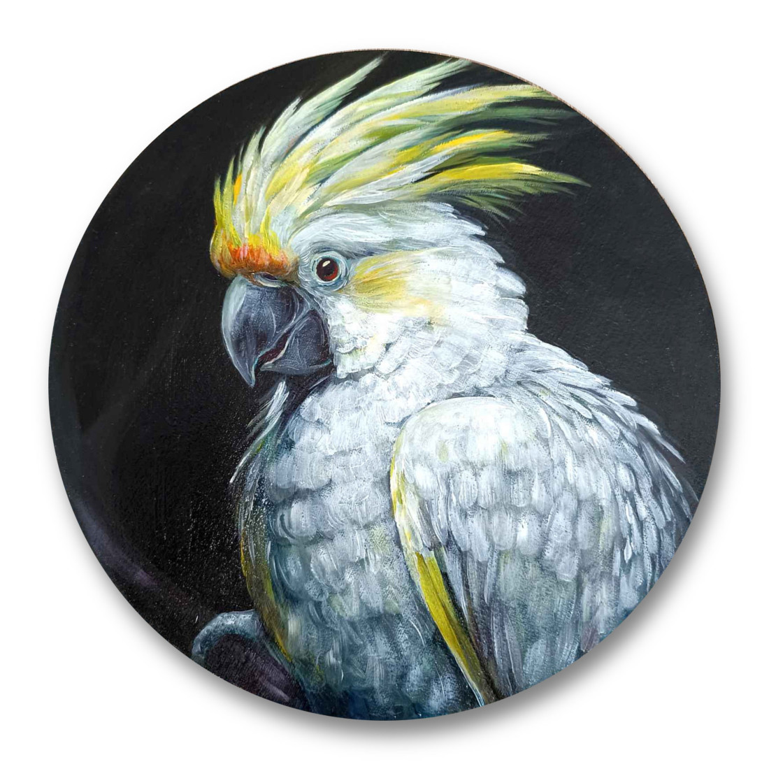 White parrot