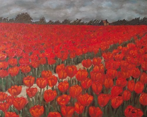Mezi tulipány