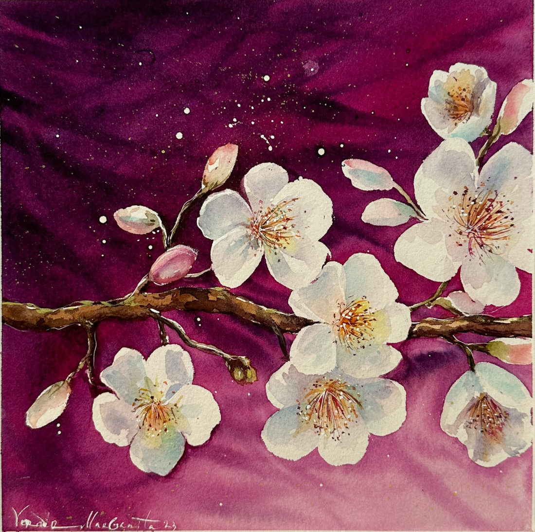 Sakura