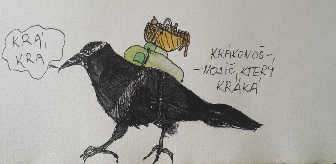 Krákonoš, nosič, který kráká