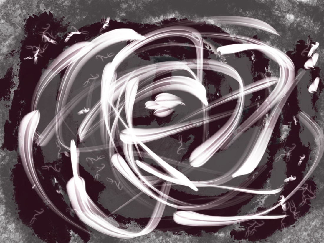 Rose of Loco mind
