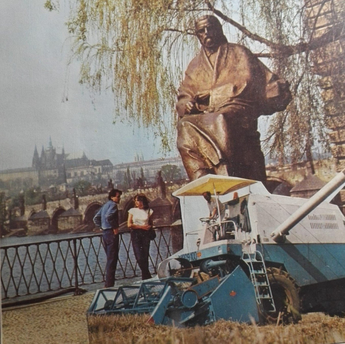 Kulturní sklizeň