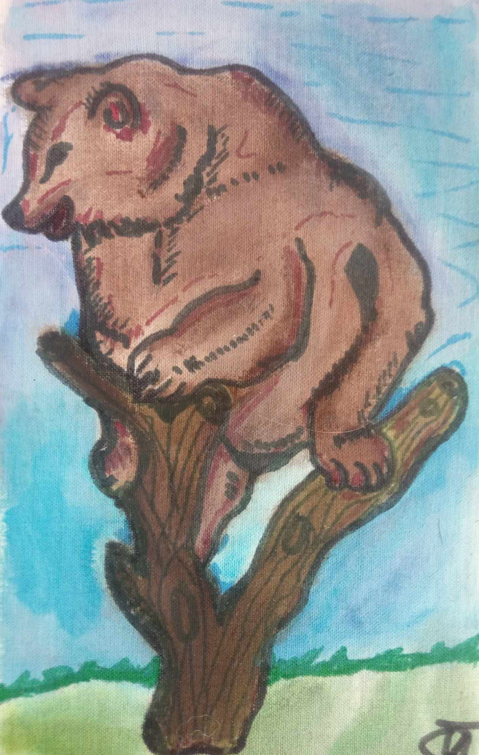 méďa na stromě