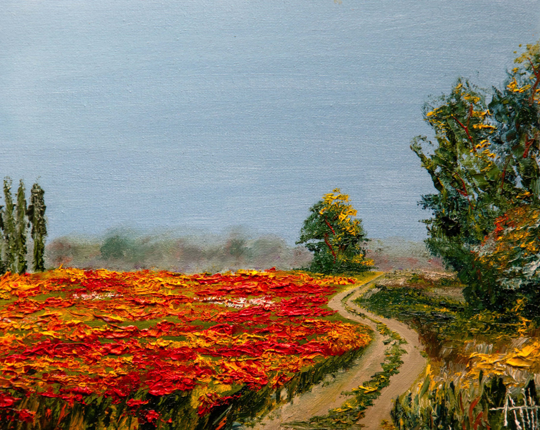 Field of red flowers